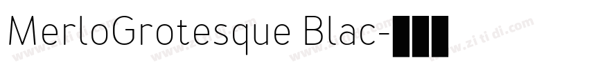 MerloGrotesque Blac字体转换